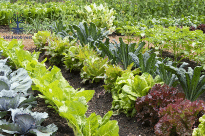 Is Bifen Safe for Vegetable Gardens?