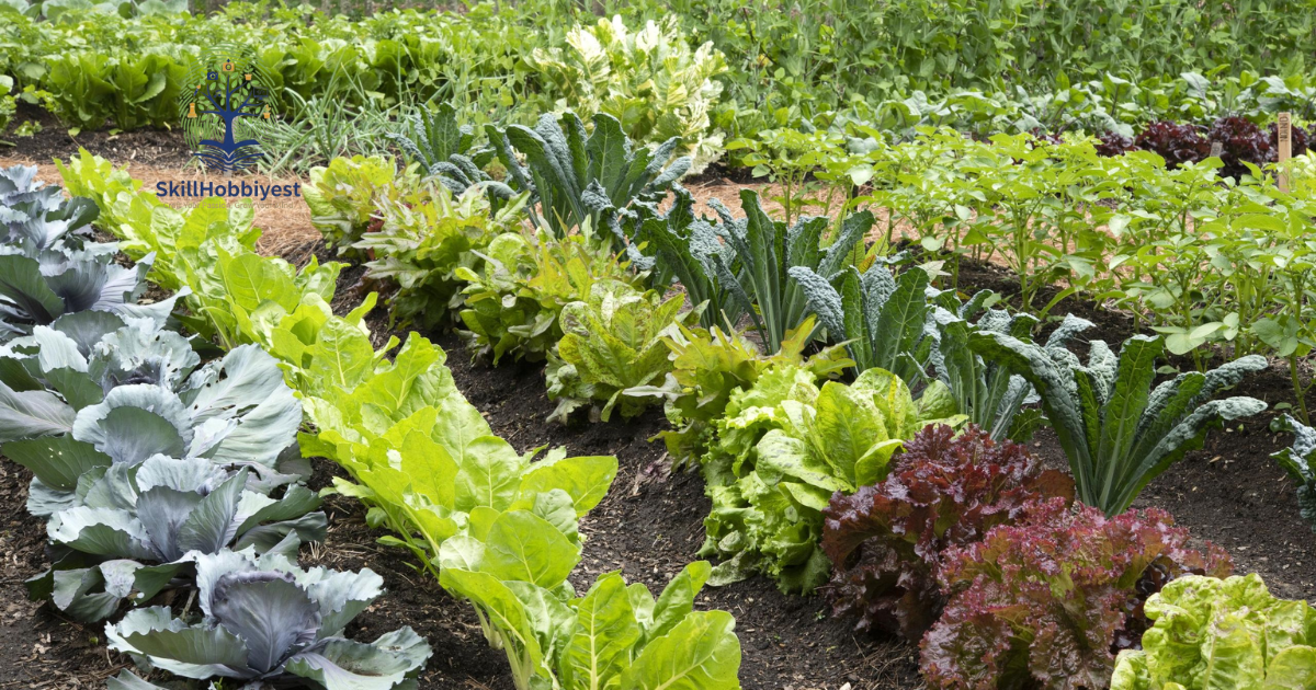 Is Bifen Safe for Vegetable Gardens?