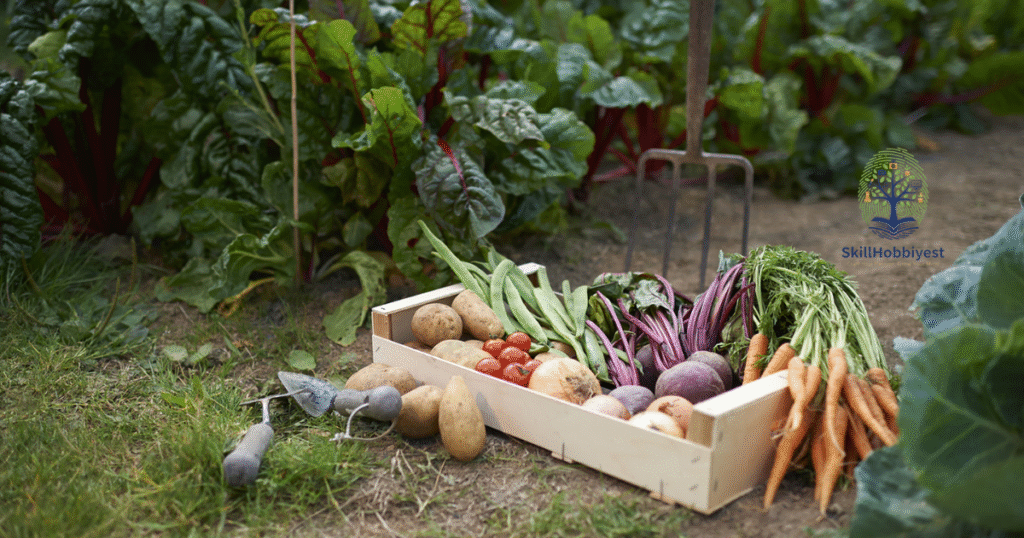 Health and Environmental Impact of Bifen