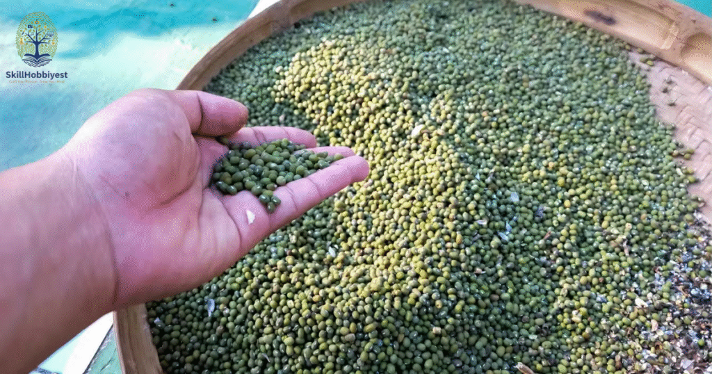 The Art of Growing Beans