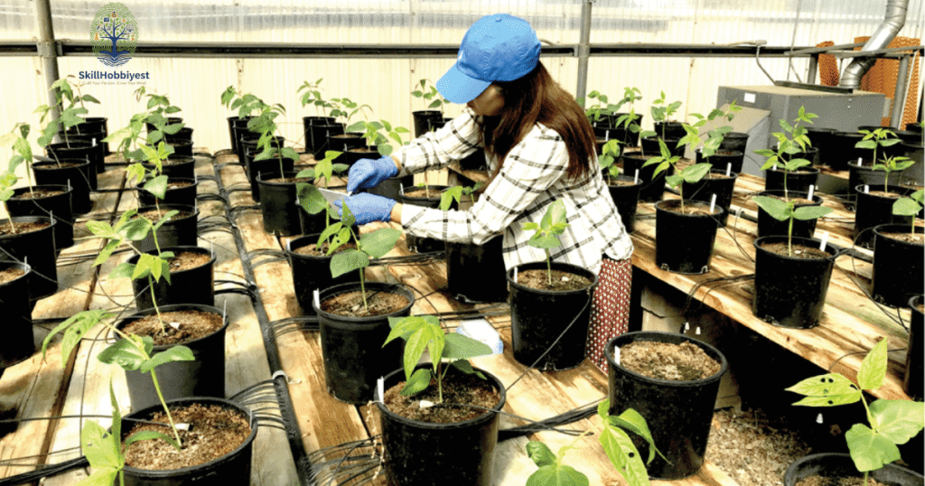 Factors Influencing Bean Production and Crop Selection