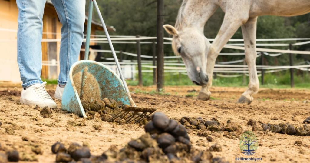 Benefits of Using Horse Manure