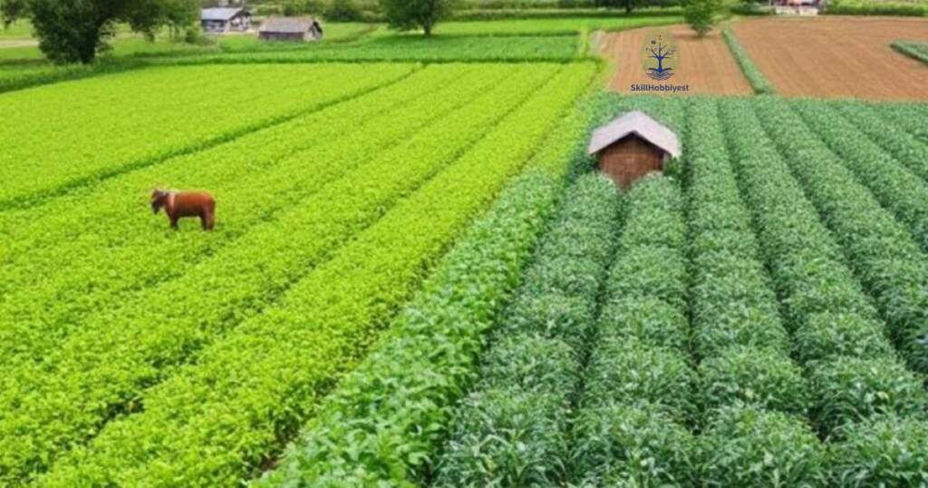 Understanding Market Gardening Systems