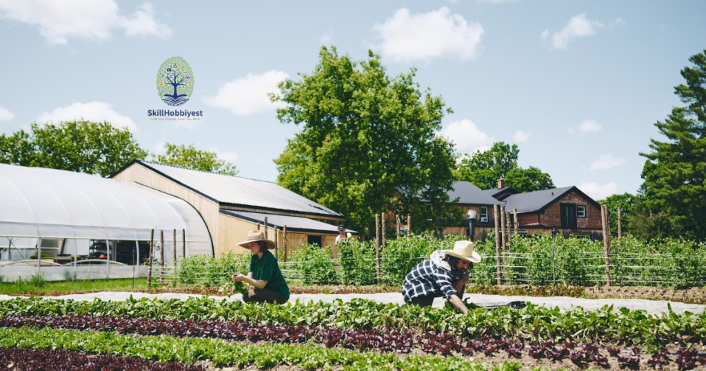 Market Gardening vs Extensive Farming