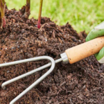 Is Mushroom Compost Good for Vegetable Gardens?