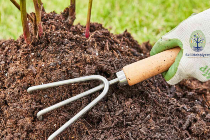 Is Mushroom Compost Good for Vegetable Gardens?