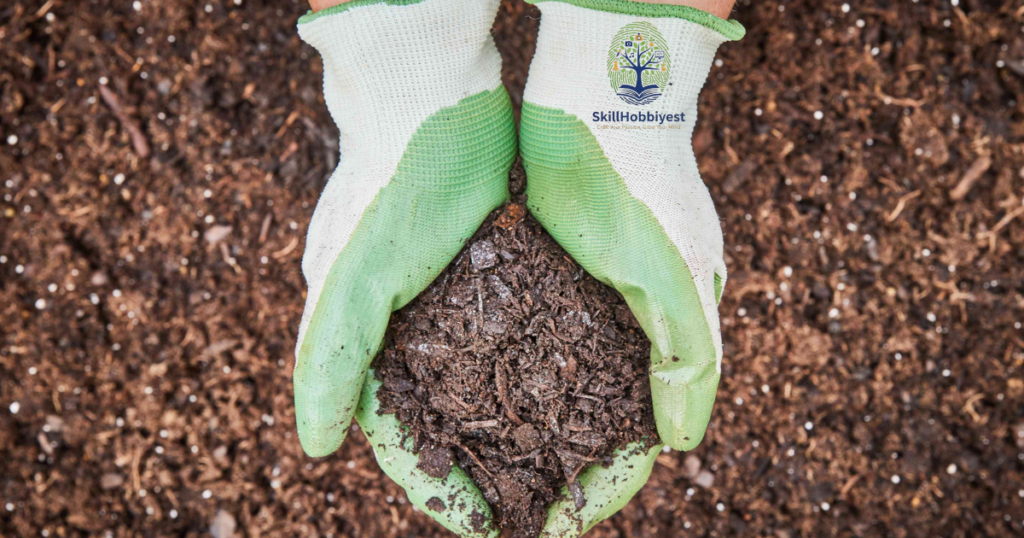 Understanding Mushroom Compost Basics