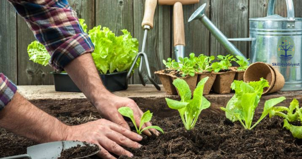 Benefits and Limitations for Vegetable Gardens
