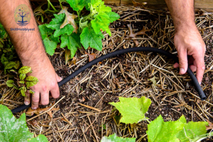 Are Soaker Hoses Good for Gardens?