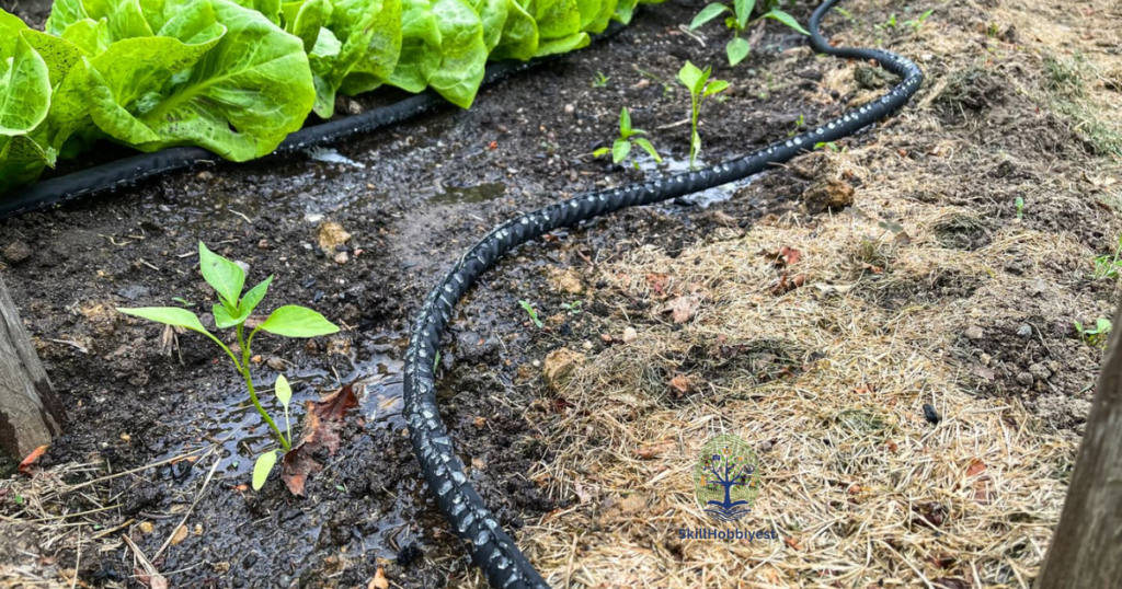 Benefits of Using Soaker Hoses in Gardens