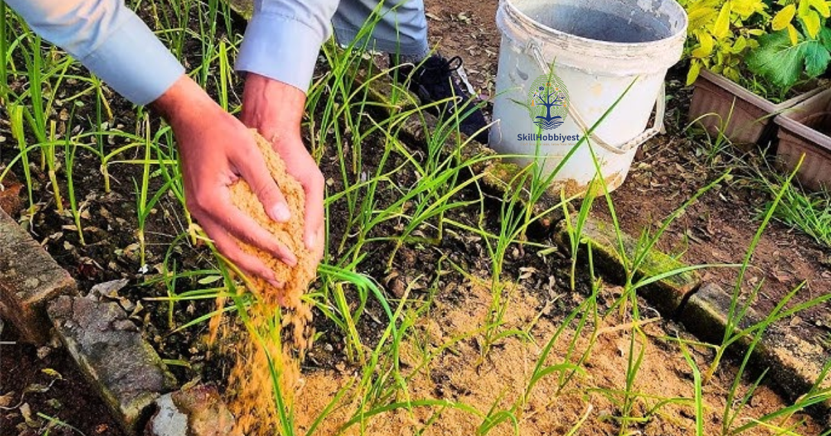 Is Sawdust Good for Gardens?