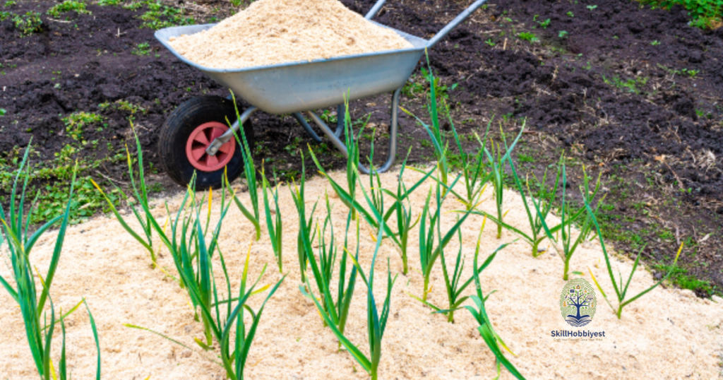 Precautions and Best Practices