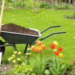 How many Calories does Gardening Burn?