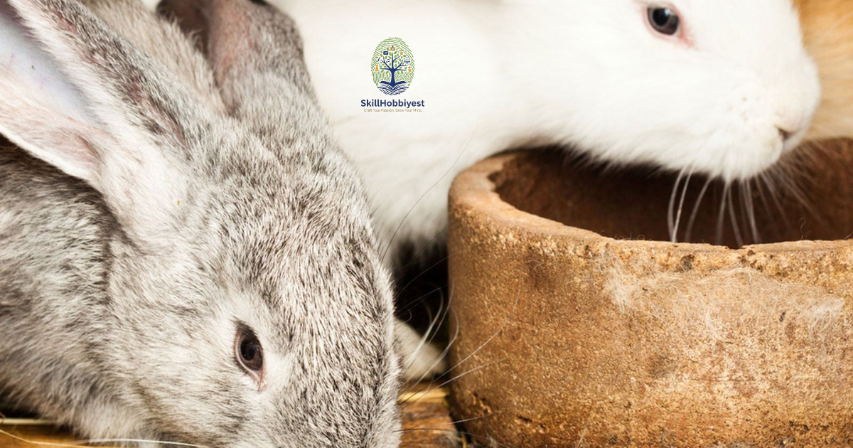 Is Rabbit Poop Good for Gardens?