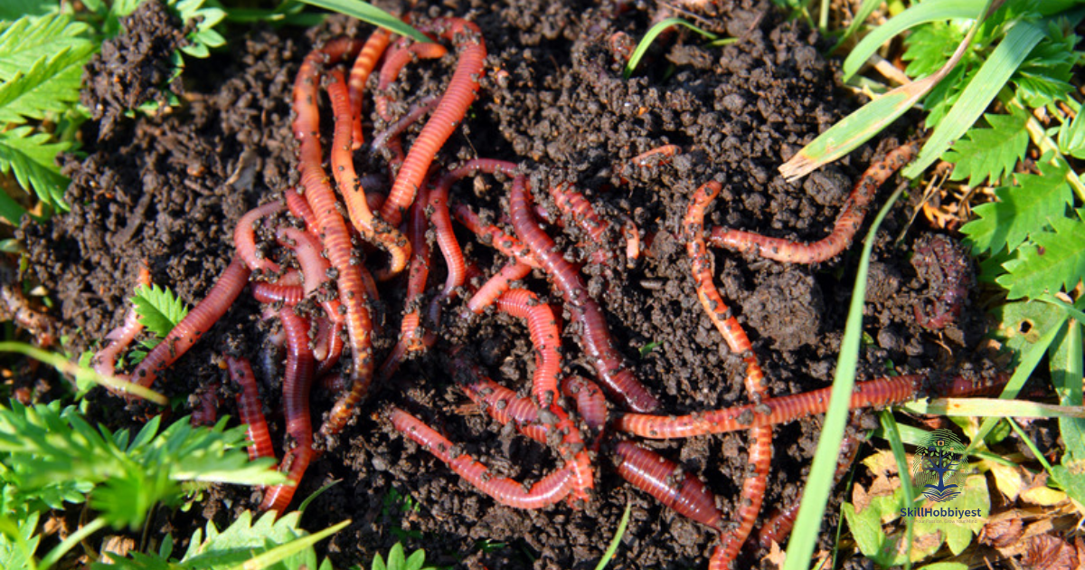 Are Red Worms Good for Gardens?