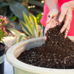 Is Peat Moss Good for Gardens?