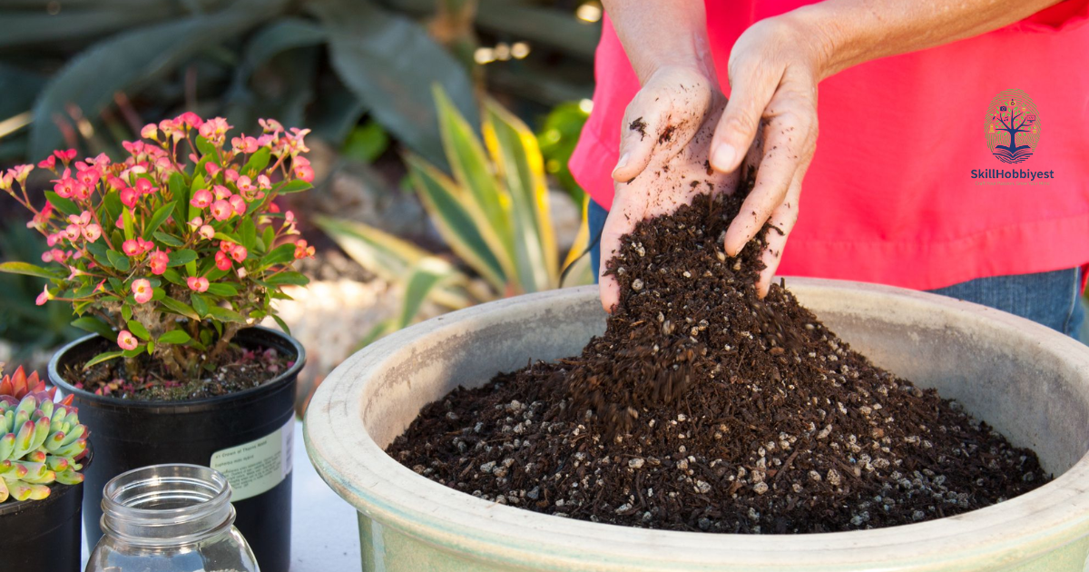 Is Peat Moss Good for Gardens?