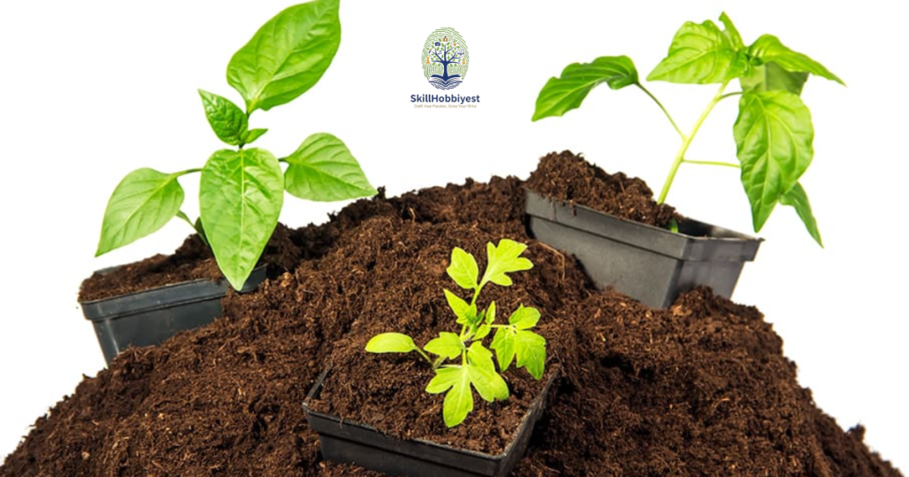 Understanding Peat Moss and Its Role in Gardening