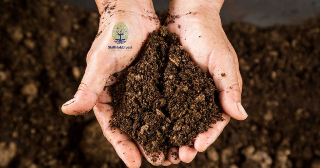 Benefits of Using Peat Moss in Gardens