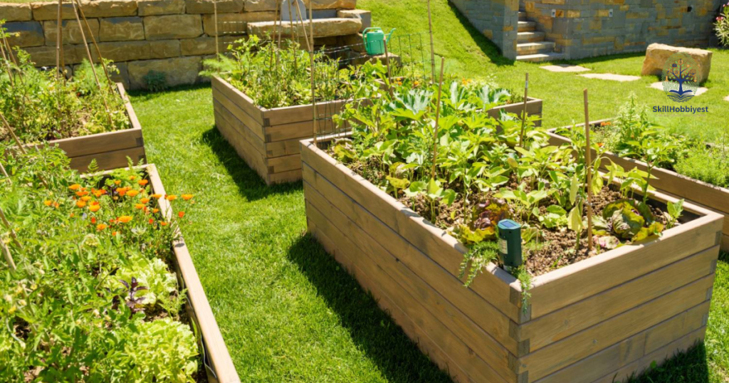 Best Practices for Using Pressure Treated Wood