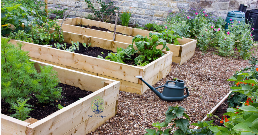 Understanding Pressure Treated Wood