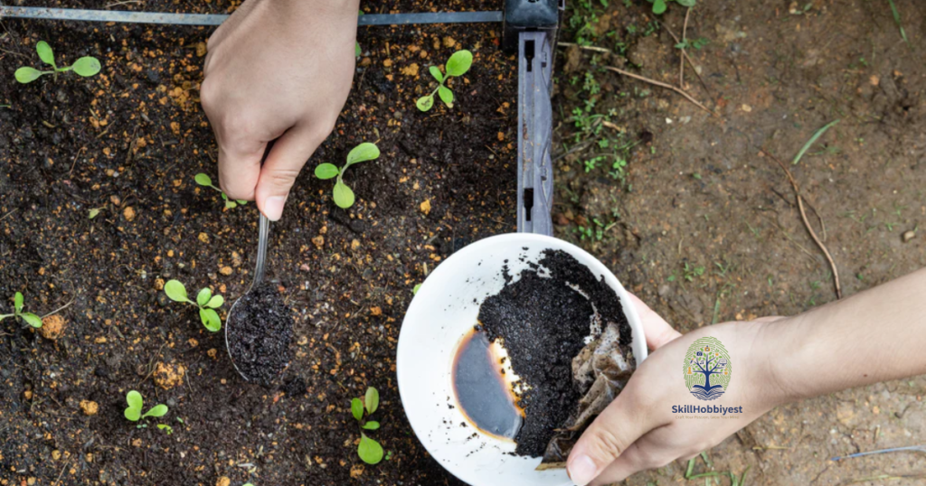 Benefits of Coffee Grounds in Gardening