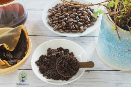 How to Use Coffee Grounds in Gardening?