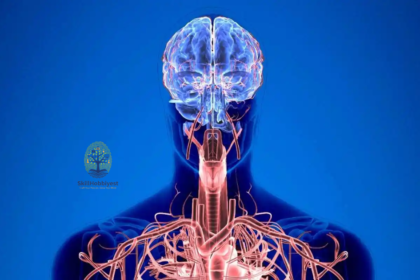 What is Body Coding?