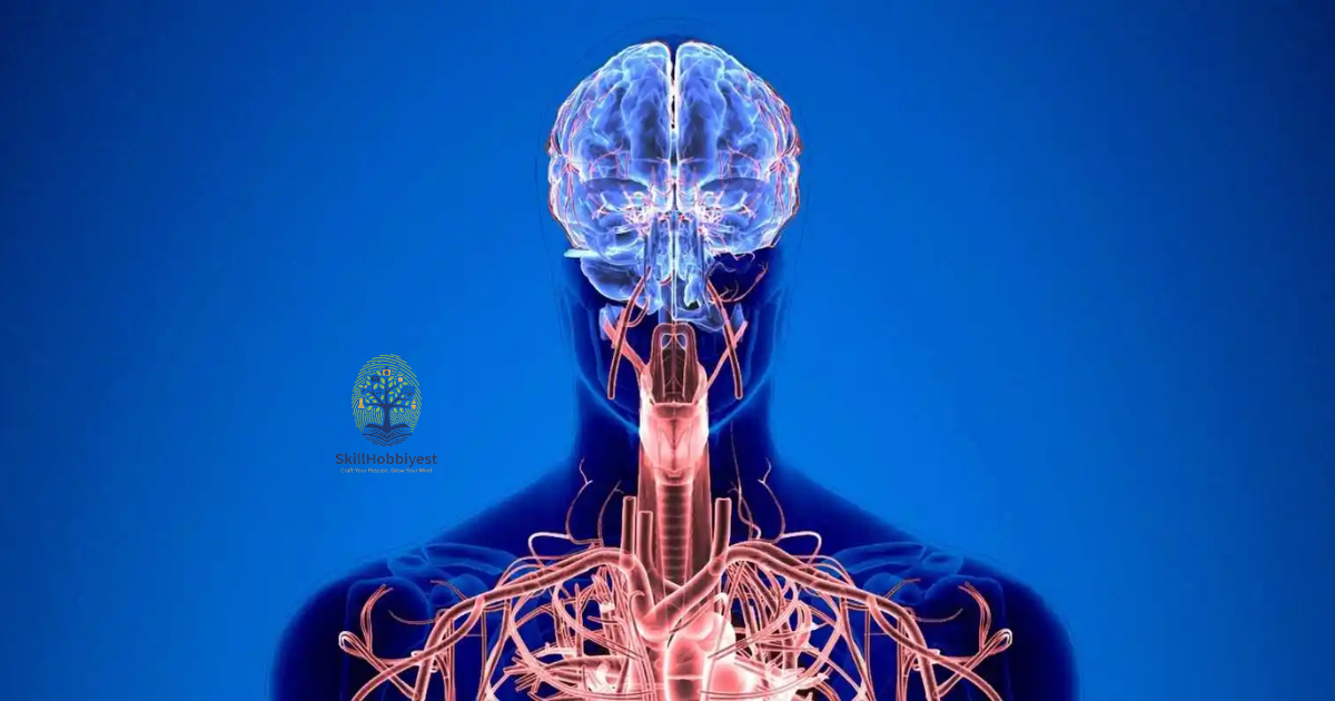 What is Body Coding?