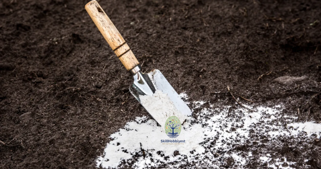 Types of Lime Used in Gardens