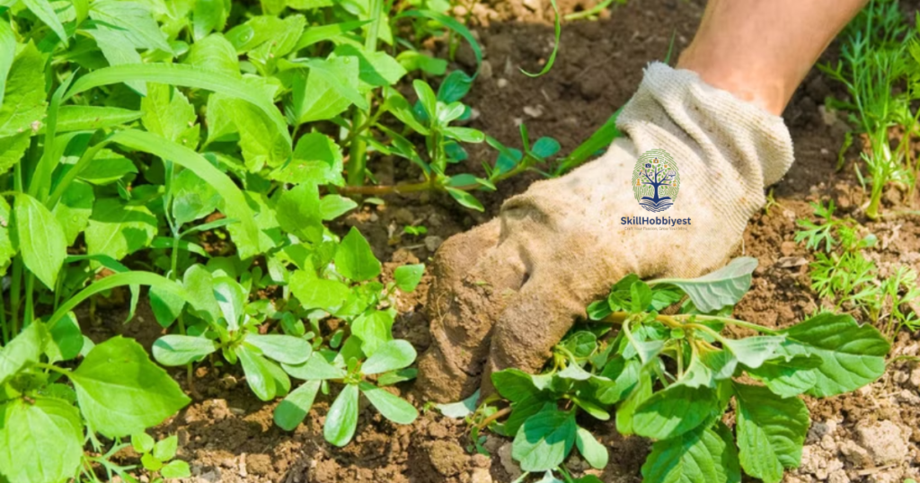 How Lime Affects Garden Soil