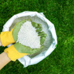 Is lime Good for Gardens?