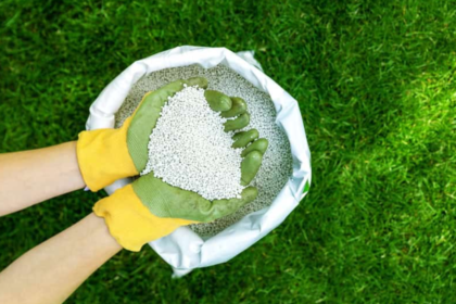 Is lime Good for Gardens?