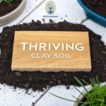 How to Improve Clay Soil for Gardening?