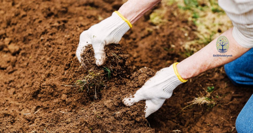 Understanding Clay Soil Problems