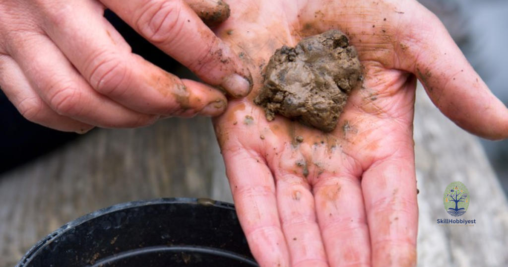 Improving Drainage and Texture