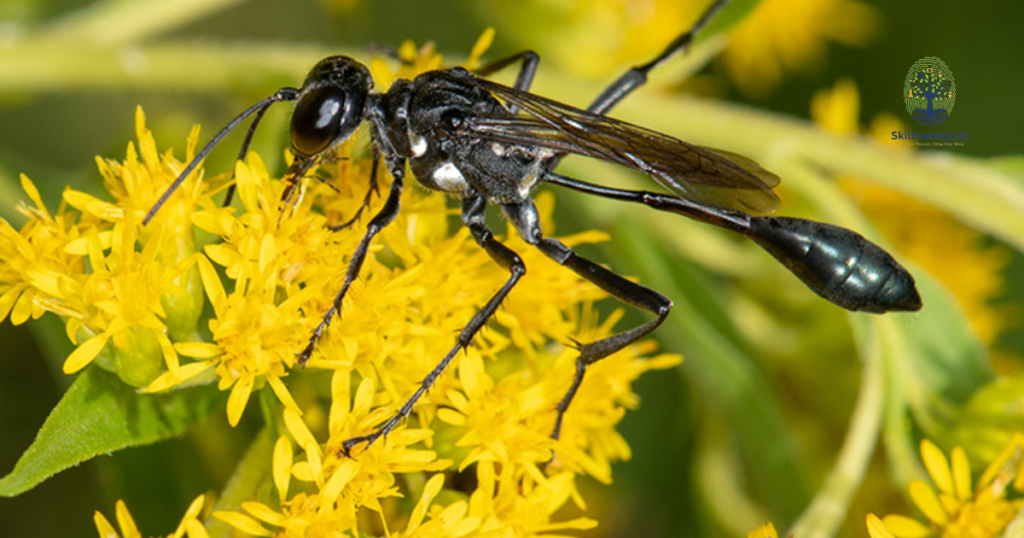 Safety and Garden Integration
