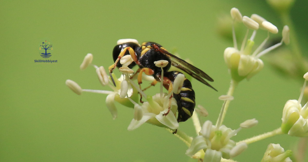 Plant Compatibility and Ecosystem Roles